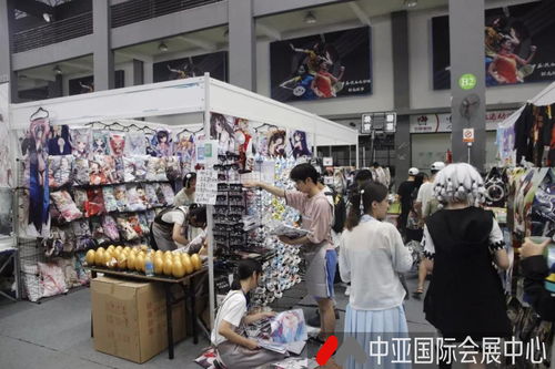 會(huì)展服務(wù)全解析 聚焦展覽服務(wù)的核心類(lèi)型